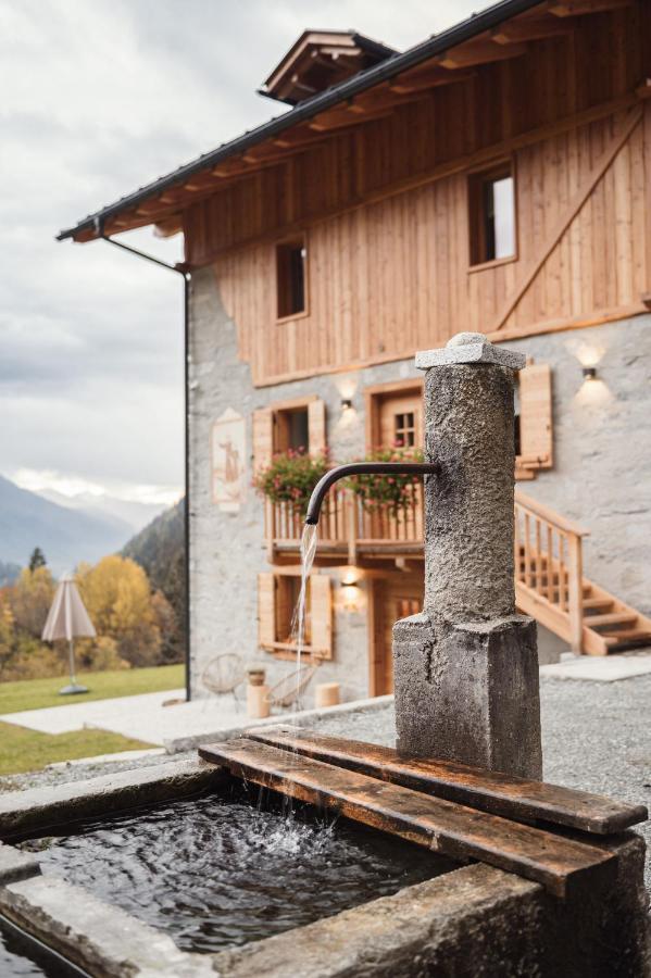 Pimont Alpine Chalet Madonna エクステリア 写真