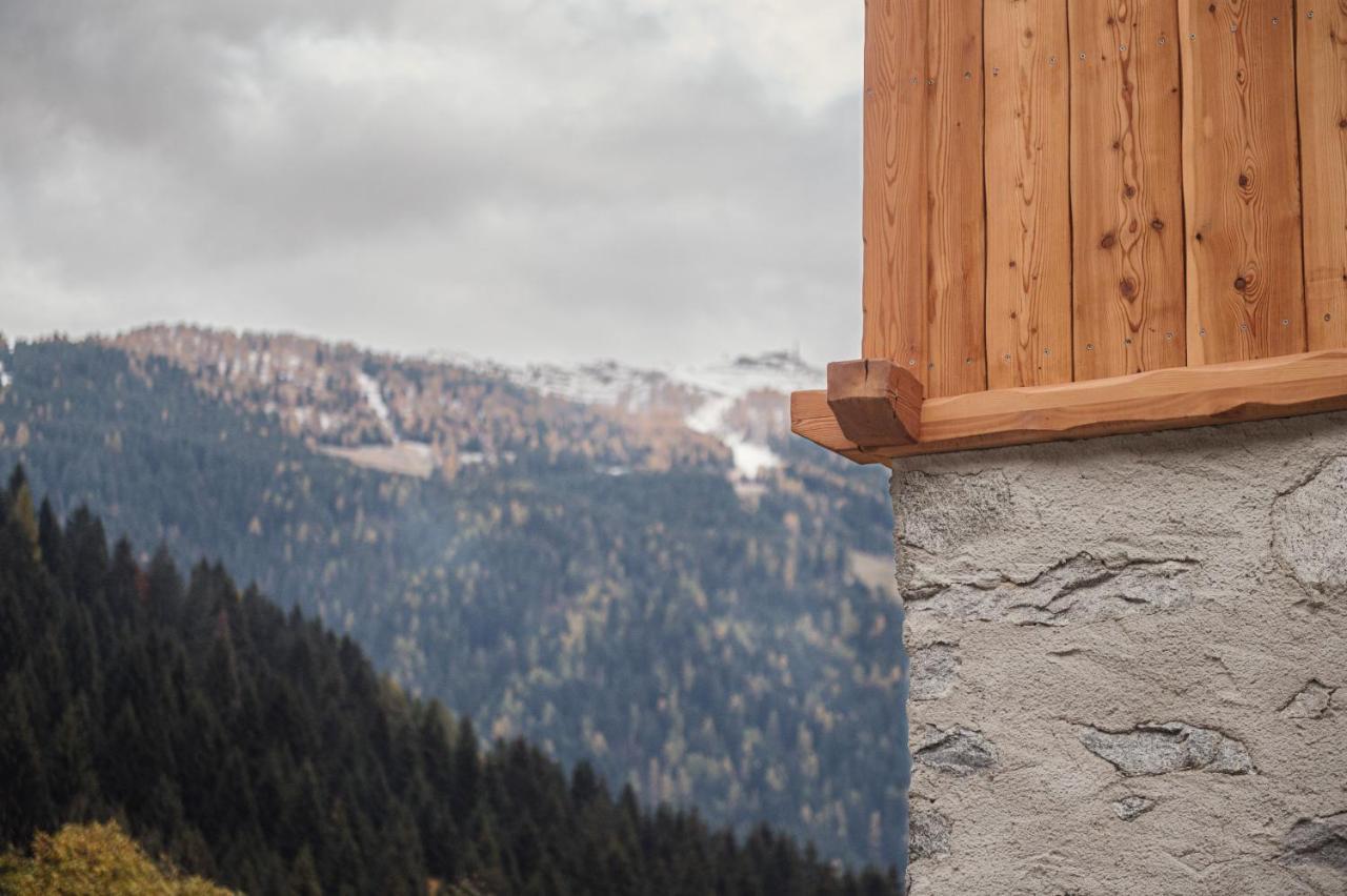 Pimont Alpine Chalet Madonna エクステリア 写真